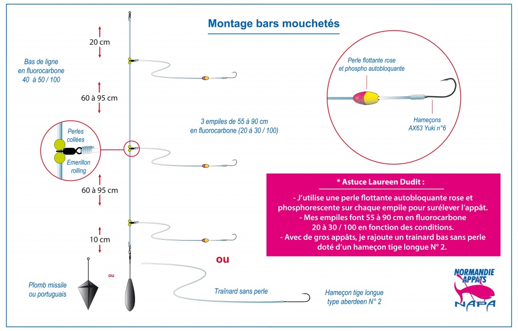 bas de ligne bar